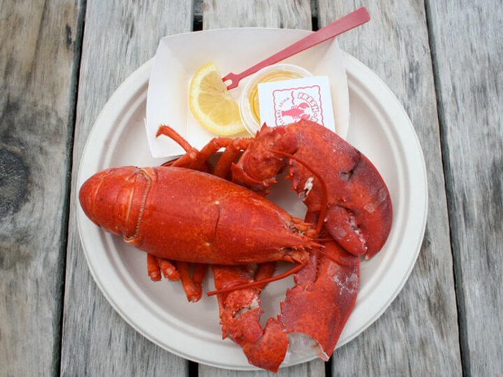 Delicious Lobster at the Clam Shack Kennebunkport Maine
