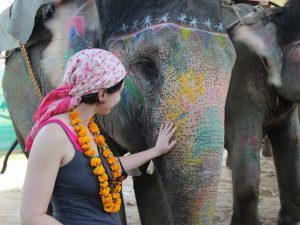 painted elephants India Carol Ketelson Delectable Destinations Culinary Tours