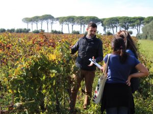 vinyard Puglia Italy Carol Ketelson Delectable Destinations Culinary Tours