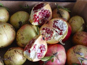 Pomegranate Puglia Italy Carol Ketelson Delectable Destinations Culinary Tours