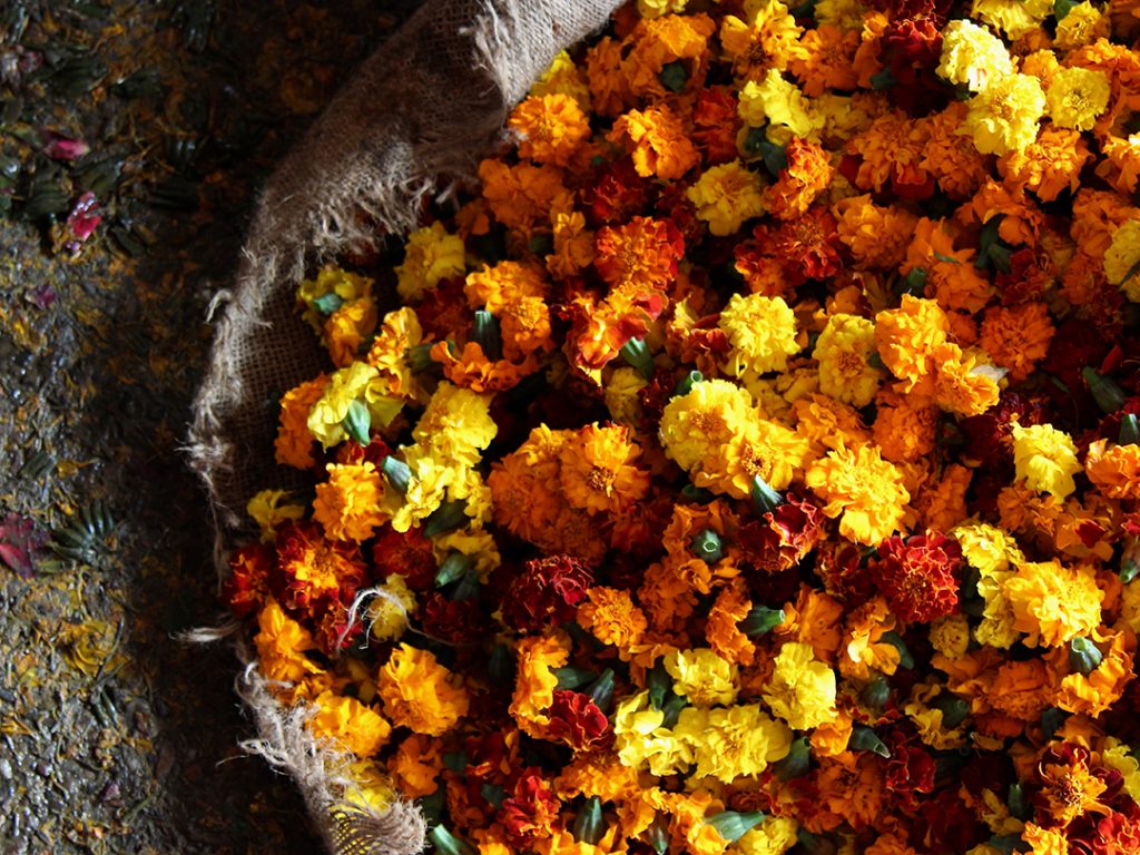 flower market old Delhi India Carol Ketelson Delectable Destinations Culinary Tours