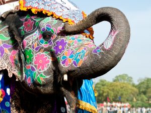 painted elephant India Carol Ketelson Delectable Destinations Culinary Tours