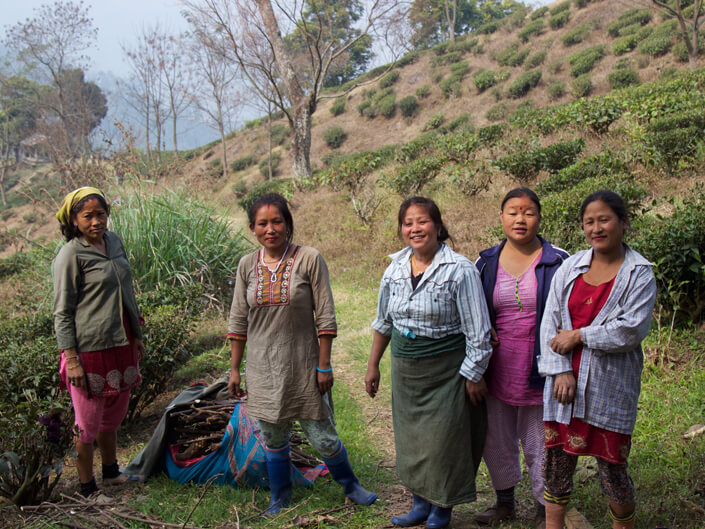 The warm and kind ladies of Darjeeling Tea pickers at Glenburn Tea Estate India Carol Ketelson Delectable Destinations Culinary Tours