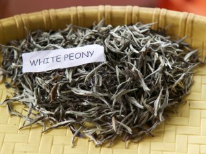 White Peony Tea - A lovely cup of tea! Let’s Talk Tea…Darjeeling Tea Delectable Destinations Culinary Tours Carol Ketelson