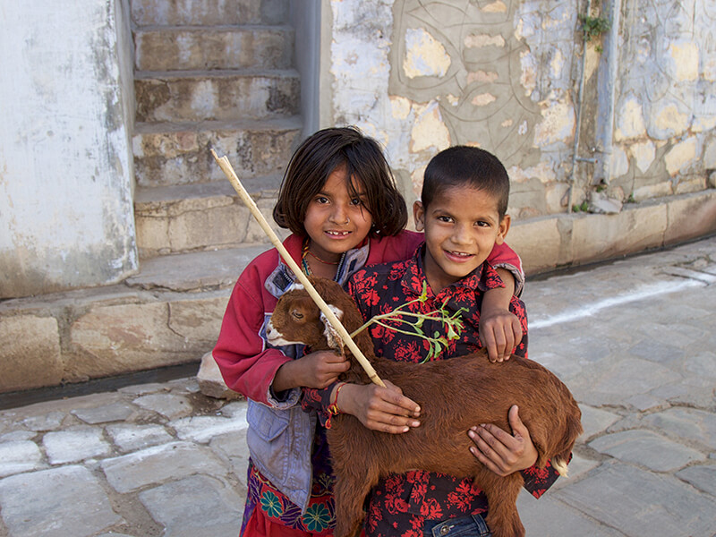 children with goat India Carol Ketelson Delectable Destinations Culinary Tours