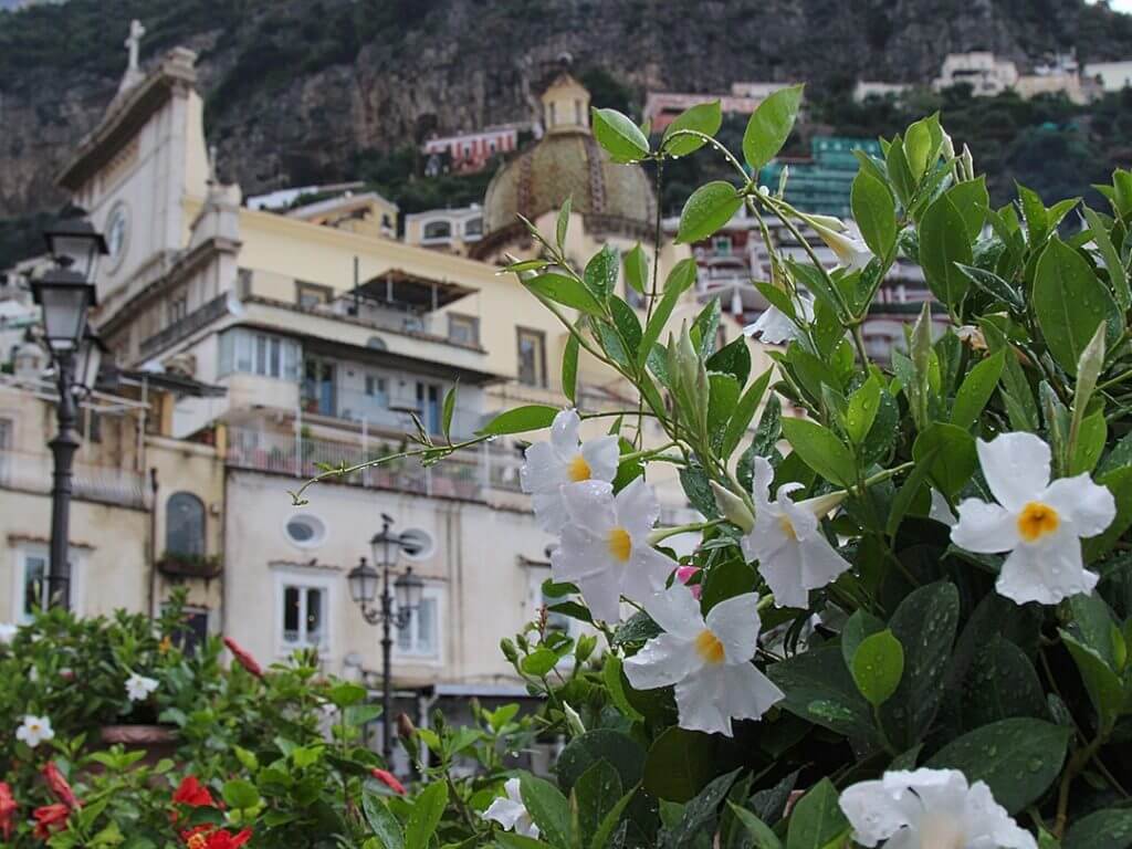 Positano Italy Culinary Tours Small Groups Carol Ketelson Delectable Destinations Culinary Tours