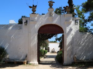 olive grove entrance, trip to magical Puglia Italy