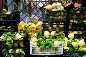 Lemons on a tree in the Amalfi Coast