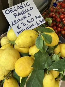 Amalfi Coast lemons with prices