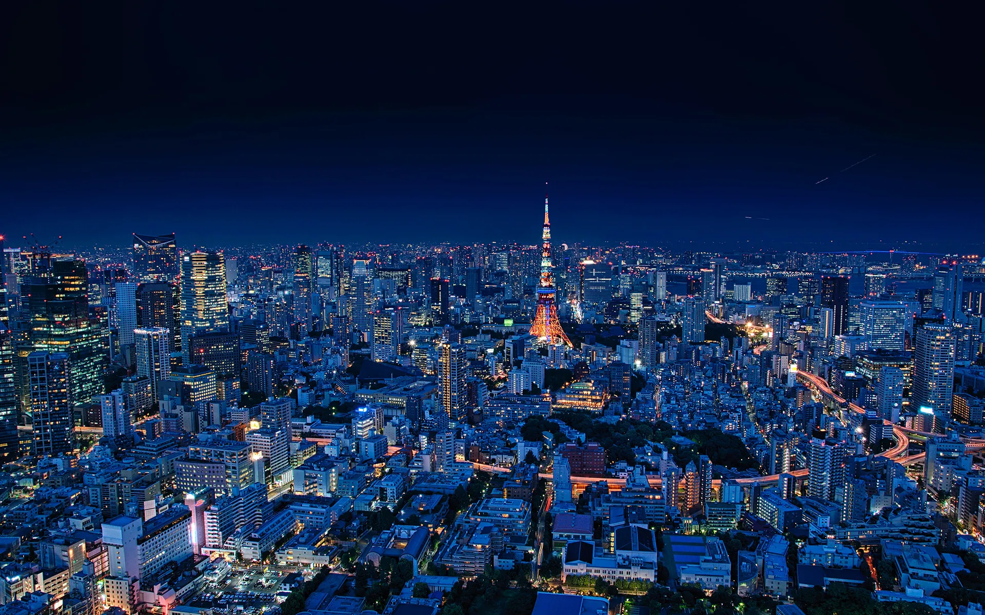 Tokyo aerial skyline view at night