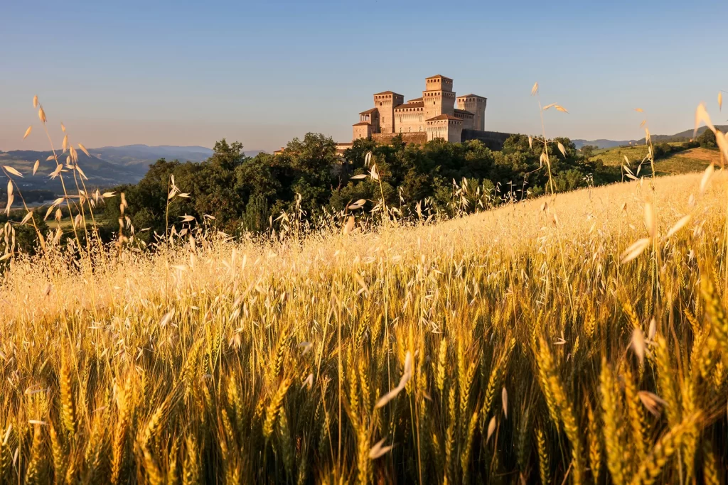 Castle in Emilia Romagna with wheat fields in the foreground